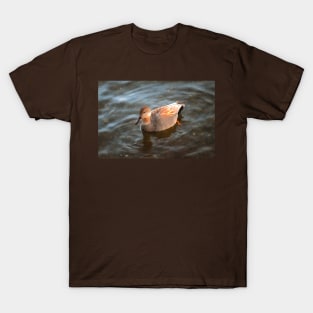 Gadwall Duck Drake on the Lake T-Shirt